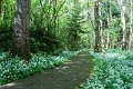Springtime in Monaghan 2013 (20)
